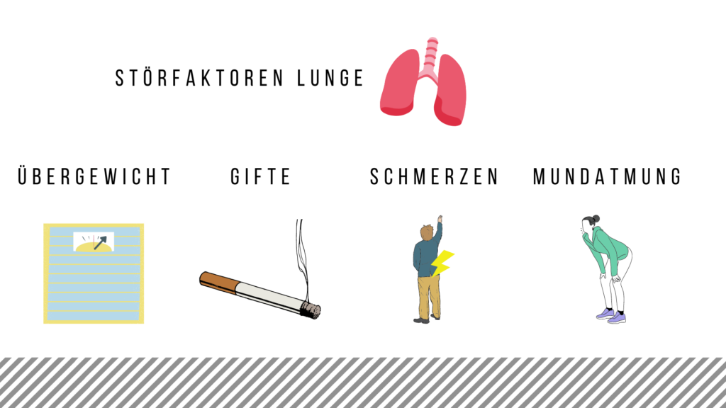 Störfaktoren Lunge