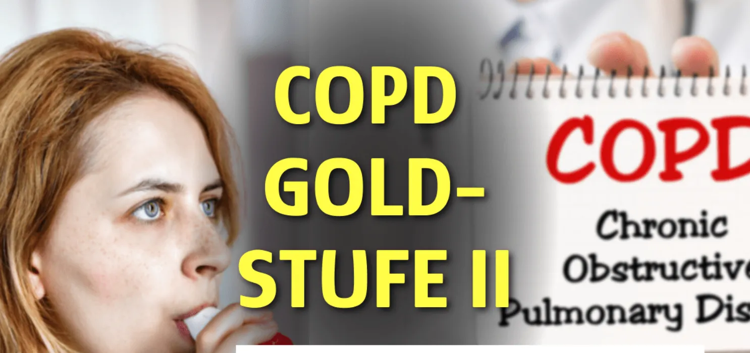 copd gold stufe 2