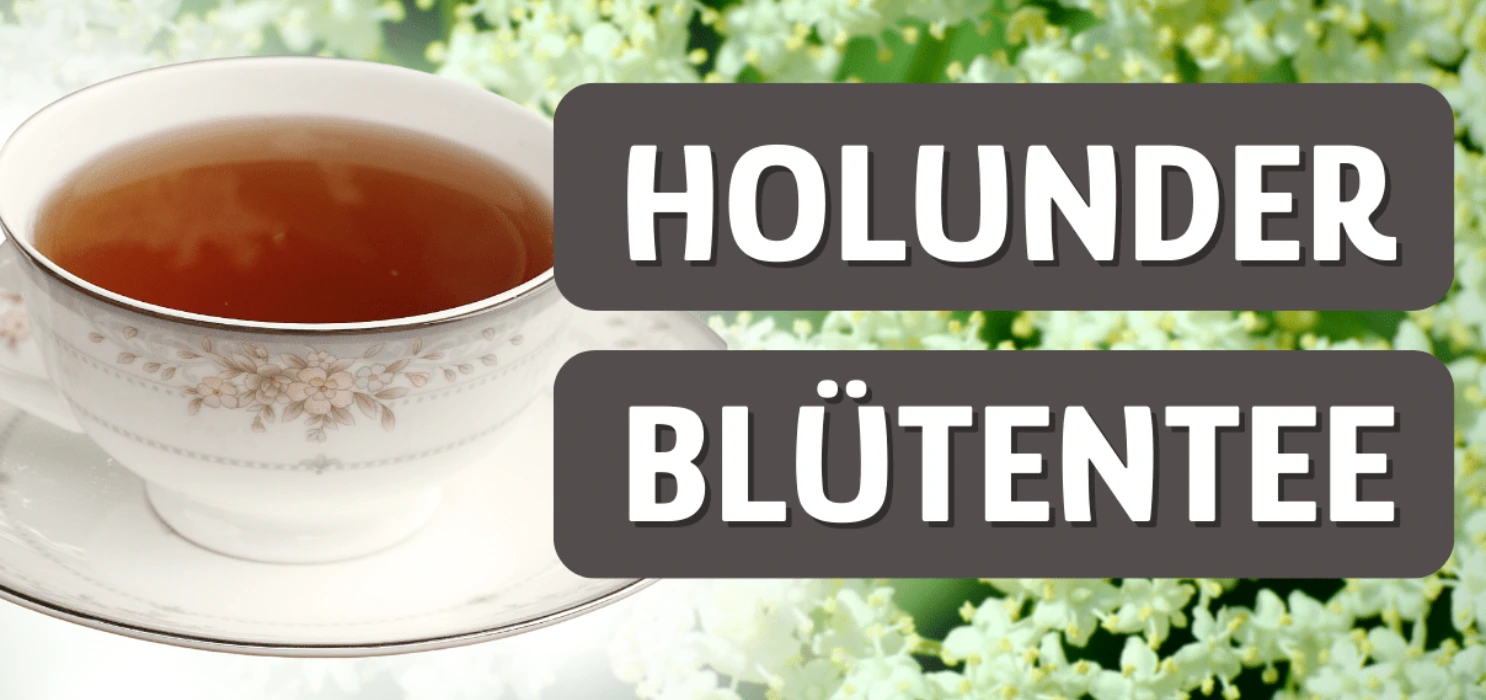 Holunderblüten Tee
