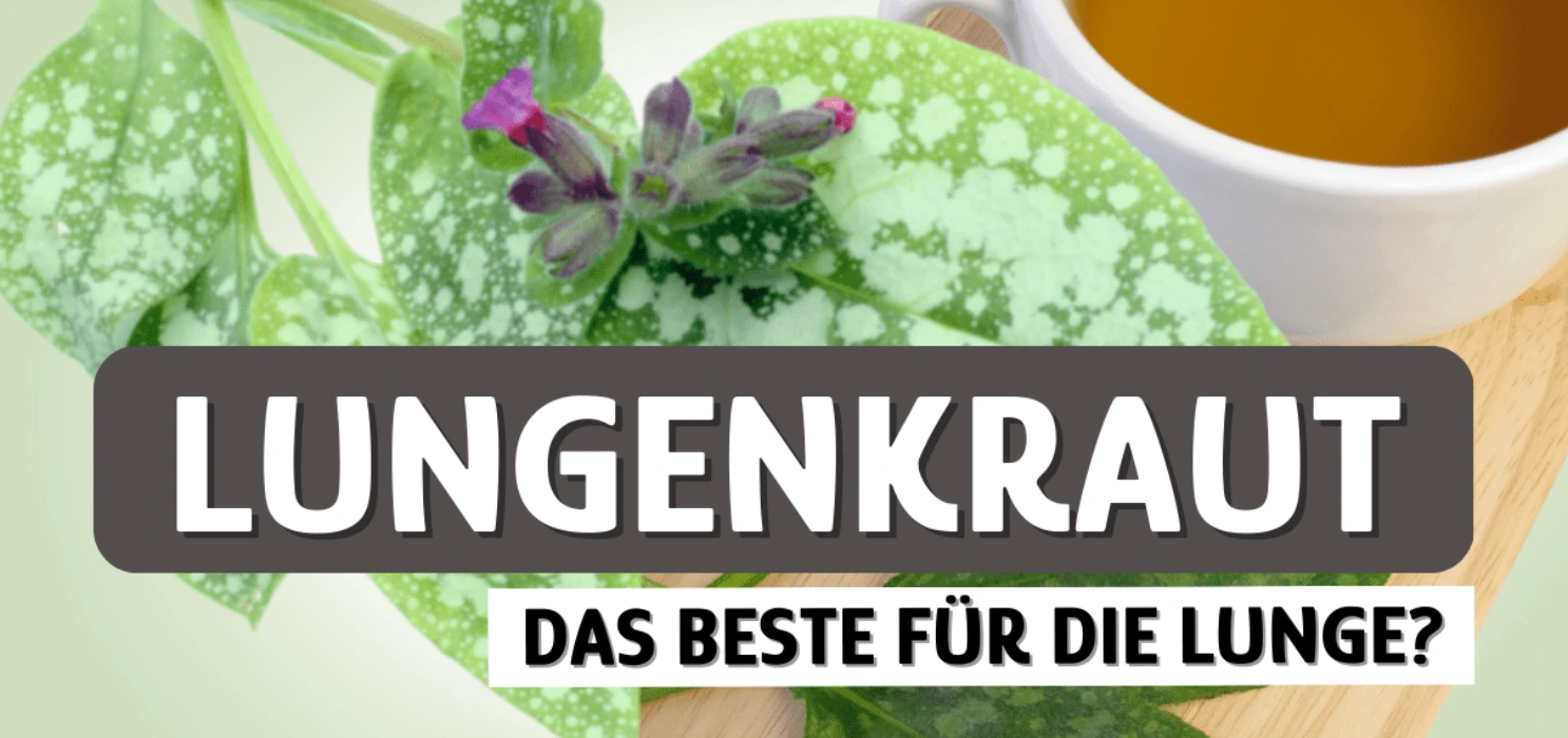 Lungenkraut Tee-Hustensaft
