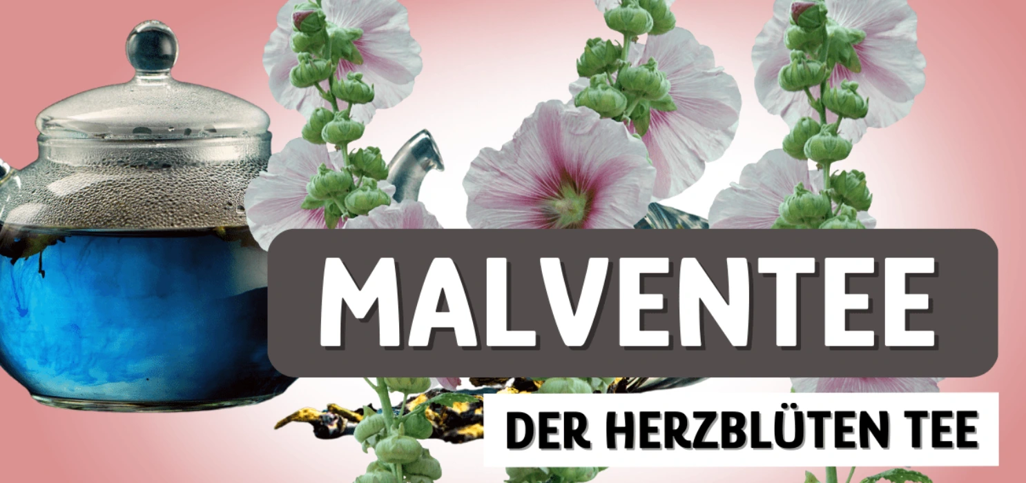 Malventee