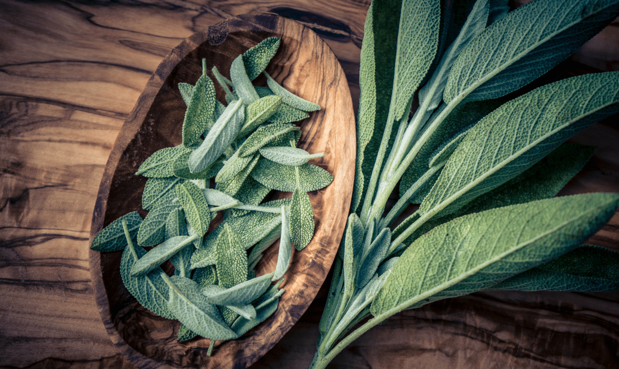 Salbeitee Schleimlösend und hustenlindernd Nico Lorenz Atemtraining