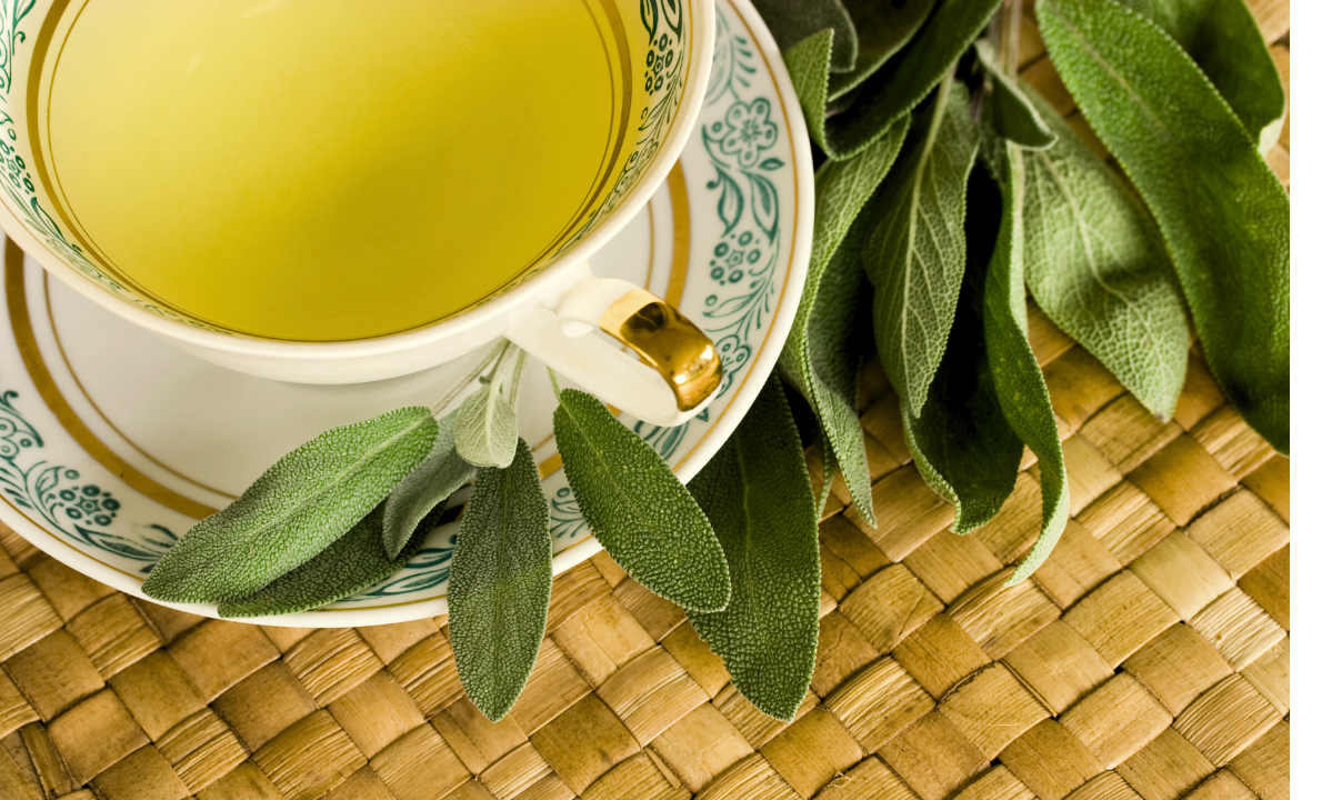 Salbeitee: Schleimlösend und hustenlindernd - Nico Lorenz Atemtraining